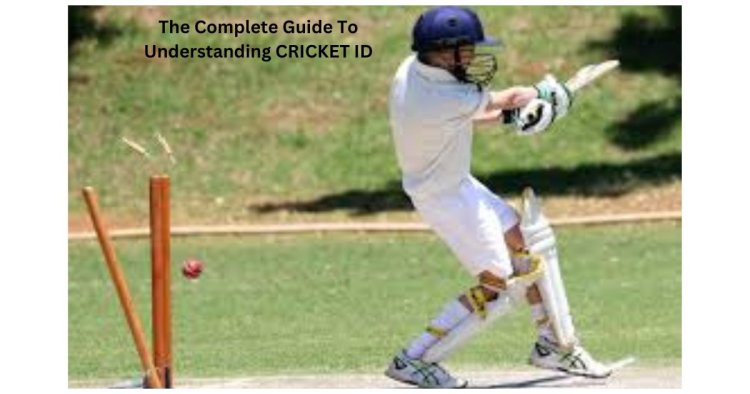 The Complete Guide To Understanding CRICKET ID